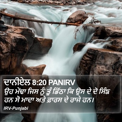 ਦਾਨੀਏਲ 8:20 PANIRV Bible Verse Image