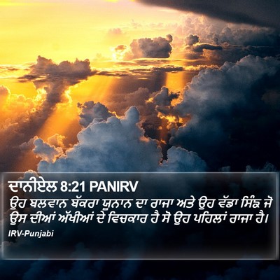 ਦਾਨੀਏਲ 8:21 PANIRV Bible Verse Image