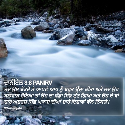 ਦਾਨੀਏਲ 8:8 PANIRV Bible Verse Image