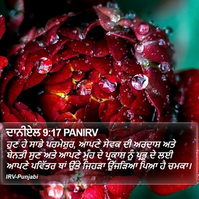 ਦਾਨੀਏਲ 9:17 PANIRV Bible Verse Image