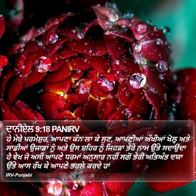 ਦਾਨੀਏਲ 9:18 PANIRV Bible Verse Image