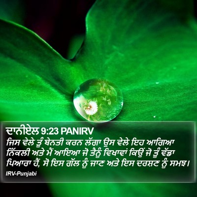 ਦਾਨੀਏਲ 9:23 PANIRV Bible Verse Image