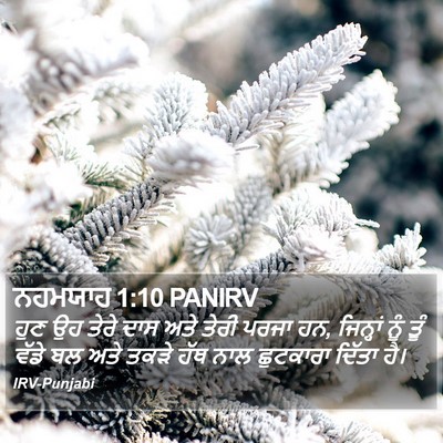 ਨਹਮਯਾਹ 1:10 PANIRV Bible Verse Image