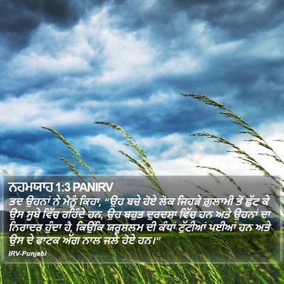 ਨਹਮਯਾਹ 1:3 PANIRV Bible Verse Image