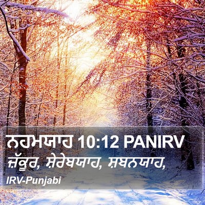 ਨਹਮਯਾਹ 10:12 PANIRV Bible Verse Image