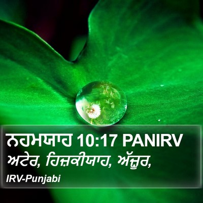 ਨਹਮਯਾਹ 10:17 PANIRV Bible Verse Image