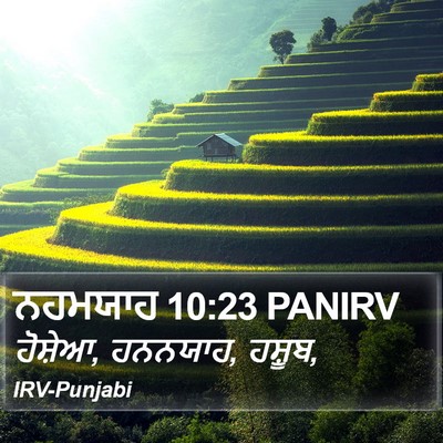 ਨਹਮਯਾਹ 10:23 PANIRV Bible Verse Image