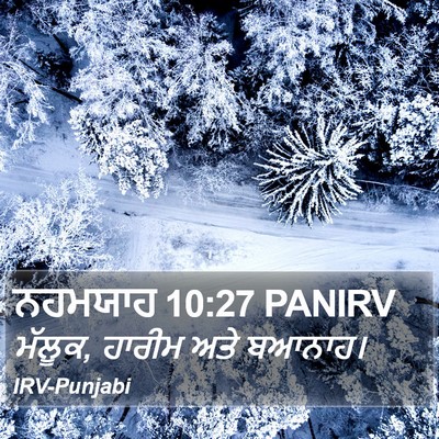 ਨਹਮਯਾਹ 10:27 PANIRV Bible Verse Image