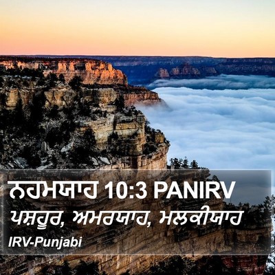 ਨਹਮਯਾਹ 10:3 PANIRV Bible Verse Image