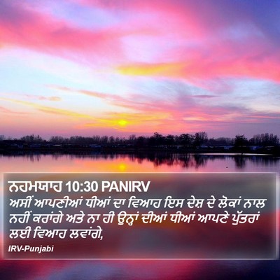 ਨਹਮਯਾਹ 10:30 PANIRV Bible Verse Image