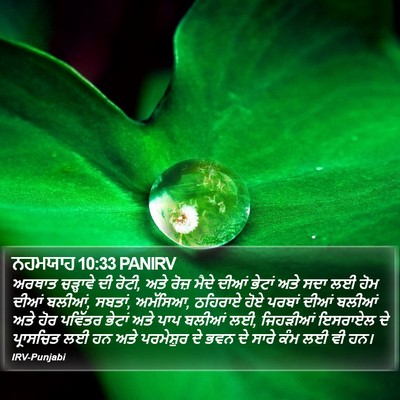ਨਹਮਯਾਹ 10:33 PANIRV Bible Verse Image
