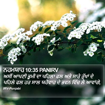 ਨਹਮਯਾਹ 10:35 PANIRV Bible Verse Image