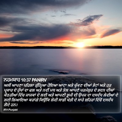 ਨਹਮਯਾਹ 10:37 PANIRV Bible Verse Image