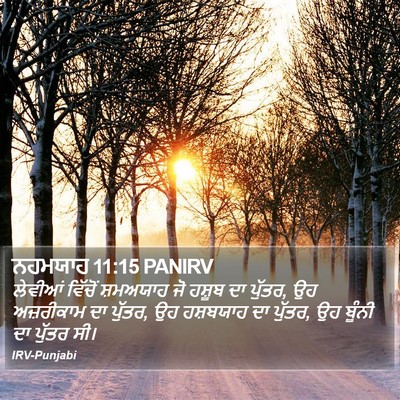 ਨਹਮਯਾਹ 11:15 PANIRV Bible Verse Image