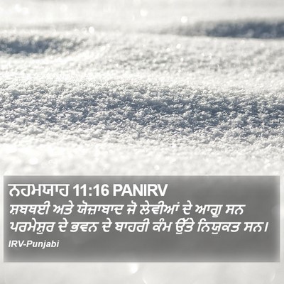 ਨਹਮਯਾਹ 11:16 PANIRV Bible Verse Image