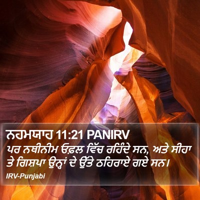 ਨਹਮਯਾਹ 11:21 PANIRV Bible Verse Image