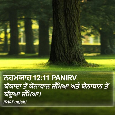 ਨਹਮਯਾਹ 12:11 PANIRV Bible Verse Image