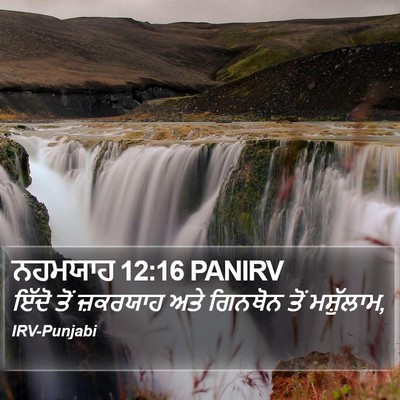 ਨਹਮਯਾਹ 12:16 PANIRV Bible Verse Image