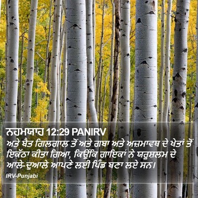 ਨਹਮਯਾਹ 12:29 PANIRV Bible Verse Image