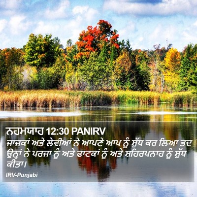 ਨਹਮਯਾਹ 12:30 PANIRV Bible Verse Image