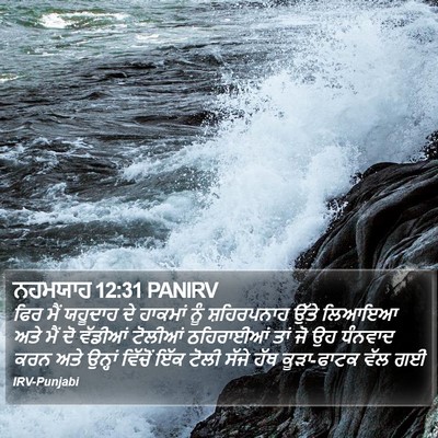 ਨਹਮਯਾਹ 12:31 PANIRV Bible Verse Image