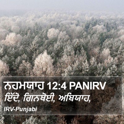 ਨਹਮਯਾਹ 12:4 PANIRV Bible Verse Image