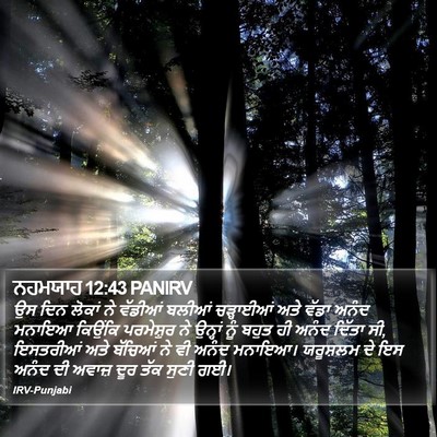 ਨਹਮਯਾਹ 12:43 PANIRV Bible Verse Image