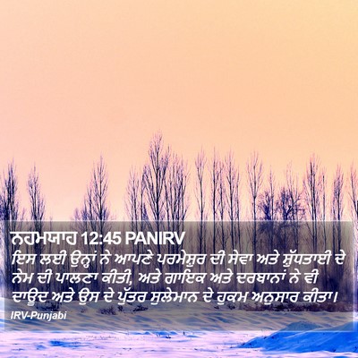 ਨਹਮਯਾਹ 12:45 PANIRV Bible Verse Image