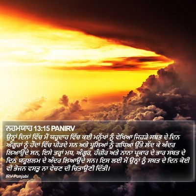 ਨਹਮਯਾਹ 13:15 PANIRV Bible Verse Image