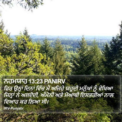 ਨਹਮਯਾਹ 13:23 PANIRV Bible Verse Image
