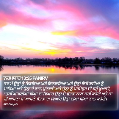 ਨਹਮਯਾਹ 13:25 PANIRV Bible Verse Image