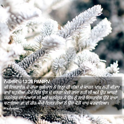 ਨਹਮਯਾਹ 13:26 PANIRV Bible Verse Image