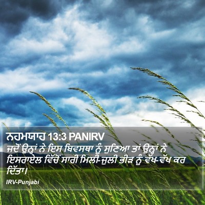 ਨਹਮਯਾਹ 13:3 PANIRV Bible Verse Image