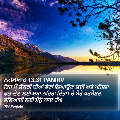 ਨਹਮਯਾਹ 13:31 PANIRV Bible Verse Image