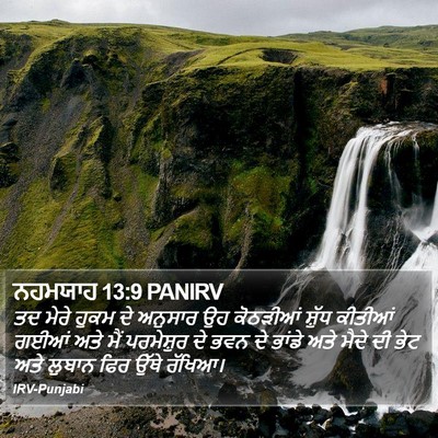 ਨਹਮਯਾਹ 13:9 PANIRV Bible Verse Image