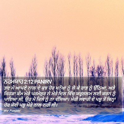 ਨਹਮਯਾਹ 2:12 PANIRV Bible Verse Image