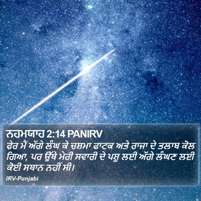 ਨਹਮਯਾਹ 2:14 PANIRV Bible Verse Image