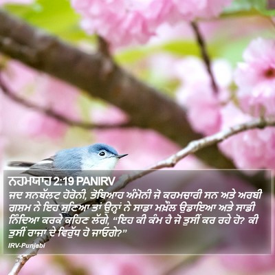 ਨਹਮਯਾਹ 2:19 PANIRV Bible Verse Image