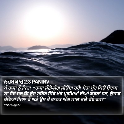 ਨਹਮਯਾਹ 2:3 PANIRV Bible Verse Image