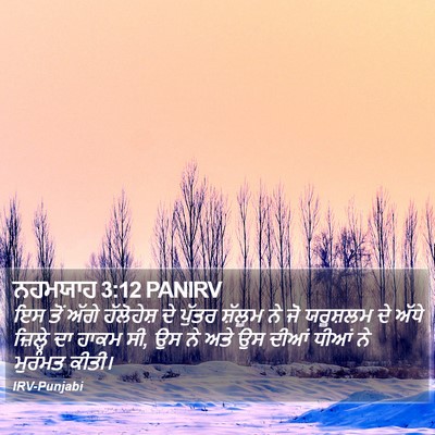 ਨਹਮਯਾਹ 3:12 PANIRV Bible Verse Image