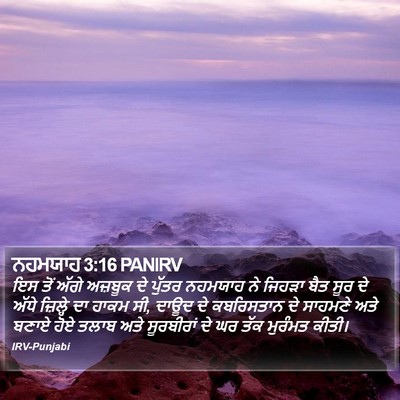ਨਹਮਯਾਹ 3:16 PANIRV Bible Verse Image