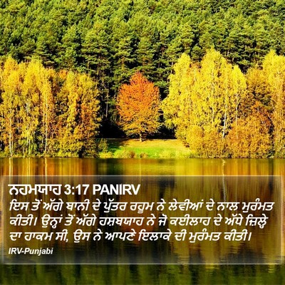 ਨਹਮਯਾਹ 3:17 PANIRV Bible Verse Image