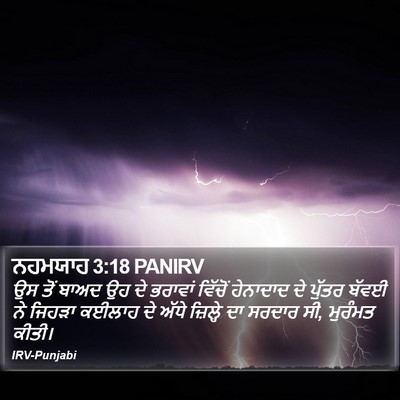 ਨਹਮਯਾਹ 3:18 PANIRV Bible Verse Image