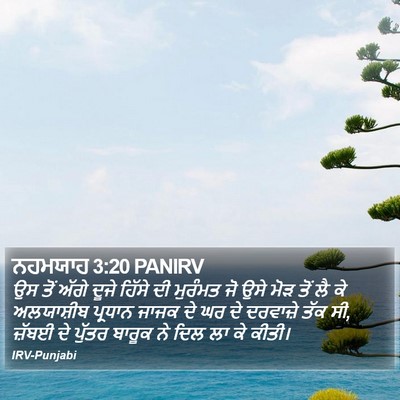 ਨਹਮਯਾਹ 3:20 PANIRV Bible Verse Image