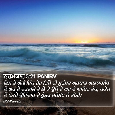ਨਹਮਯਾਹ 3:21 PANIRV Bible Verse Image