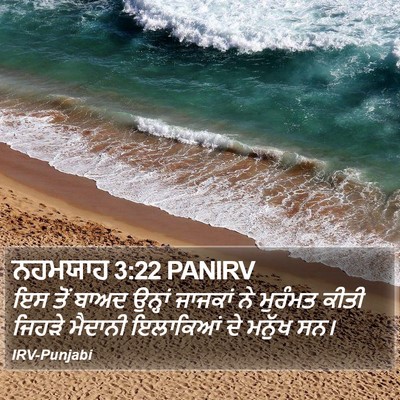ਨਹਮਯਾਹ 3:22 PANIRV Bible Verse Image