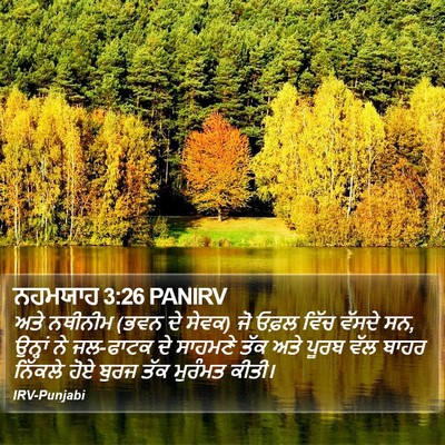 ਨਹਮਯਾਹ 3:26 PANIRV Bible Verse Image