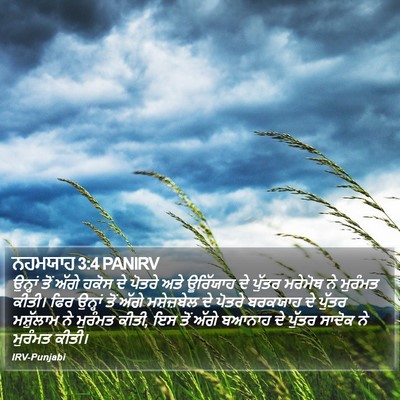 ਨਹਮਯਾਹ 3:4 PANIRV Bible Verse Image