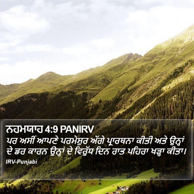 ਨਹਮਯਾਹ 4:9 PANIRV Bible Verse Image