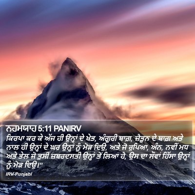 ਨਹਮਯਾਹ 5:11 PANIRV Bible Verse Image